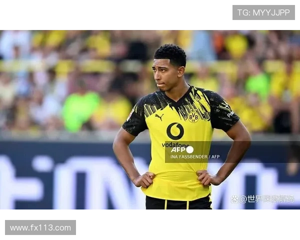 多特蒙德老板呼吁出台严厉措施